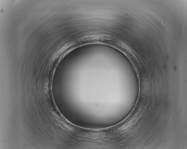 X0000067510778200604101254