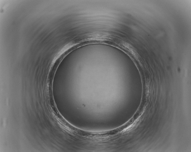 X0000067510779200604101254