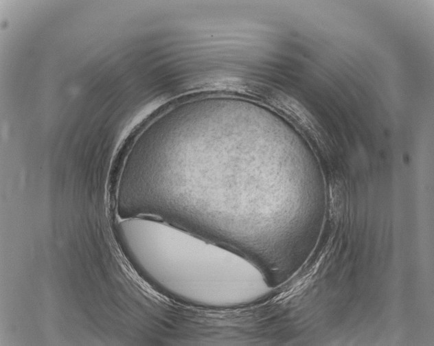 X0000067510780200604101254