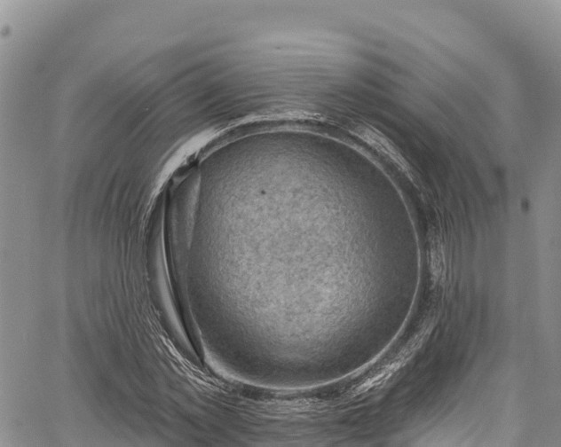 X0000067510781200604101254