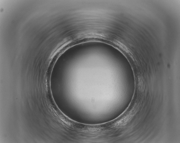 X0000067510782200604101254