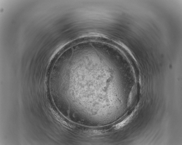 X0000067510783200604101254