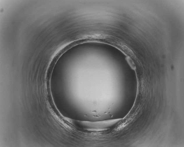 X0000067510784200604101254