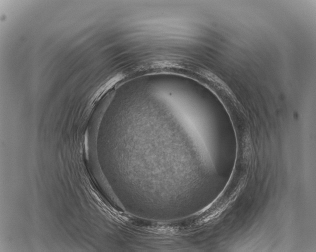 X0000067510785200604101254