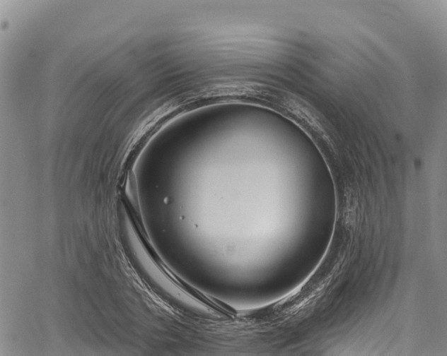 X0000067510786200604101254