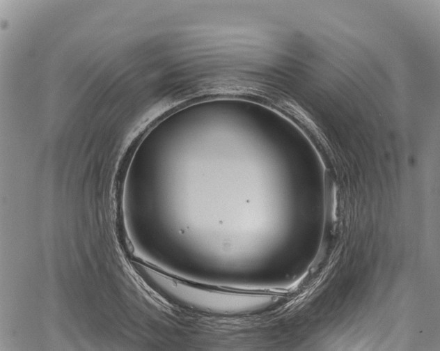 X0000067510787200604101254