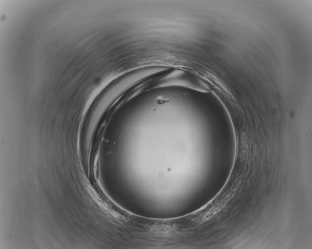 X0000067510788200604101254