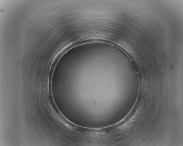 X0000067510790200604101254