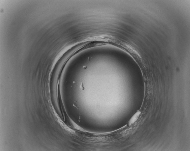 X0000067510792200604101254