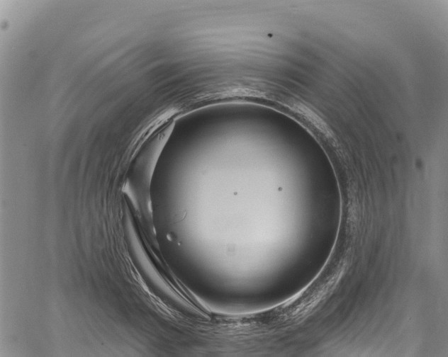 X0000067510793200604101254