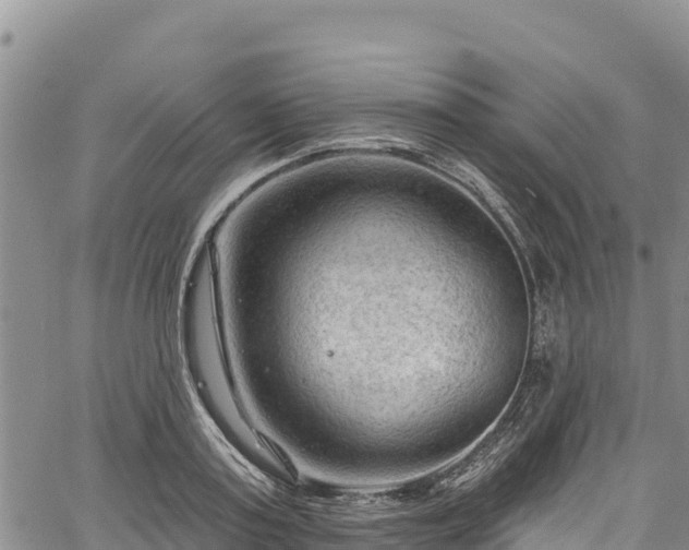 X0000067510795200604101254