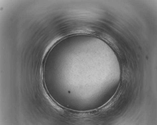 X0000067510796200604101254