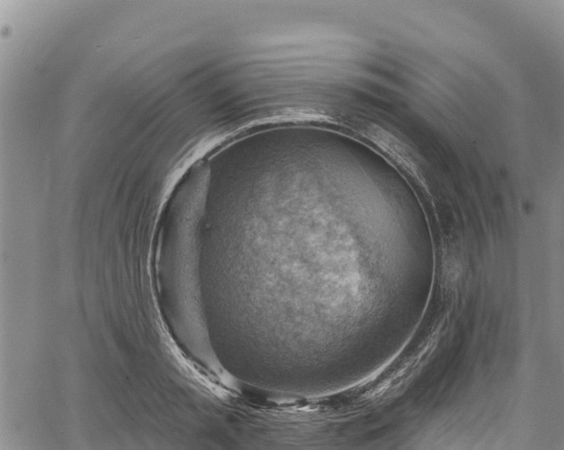 X0000067510797200604101254