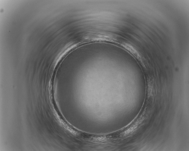 X0000067510798200604101254