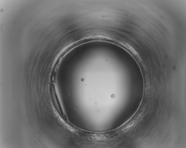 X0000067510799200604101254