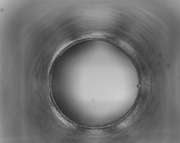 X0000067510800200604101254