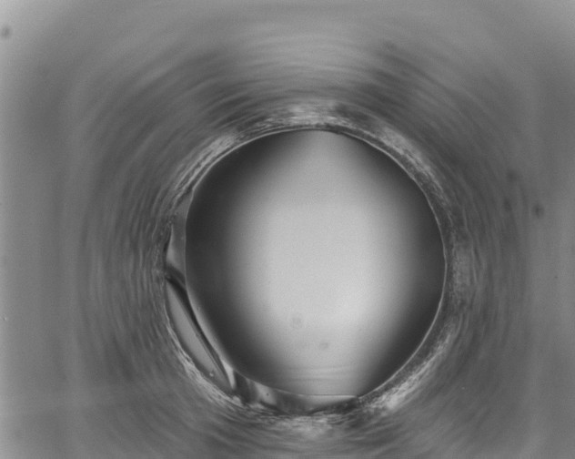 X0000067510801200604101254