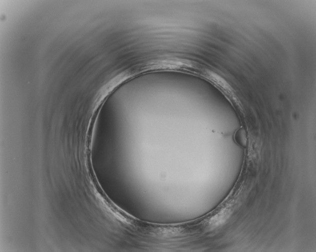 X0000067510802200604101254