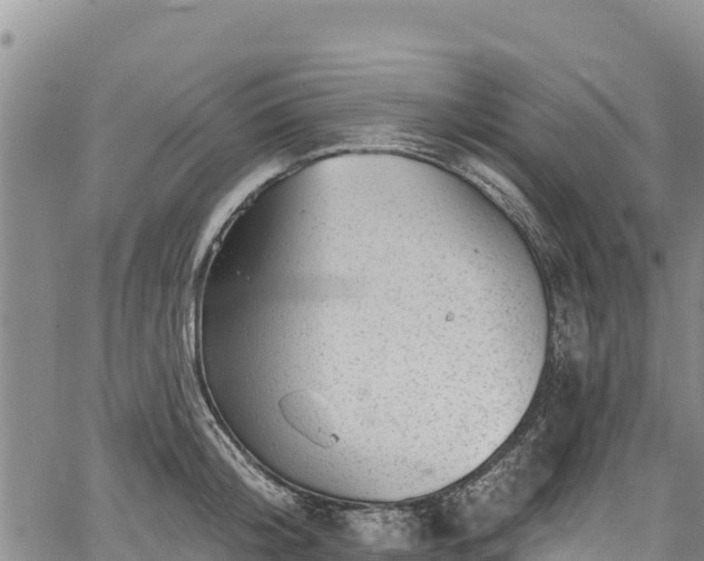 X0000067510804200604101254