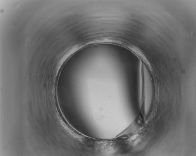 X0000067510805200604101254