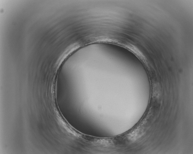 X0000067510806200604101254