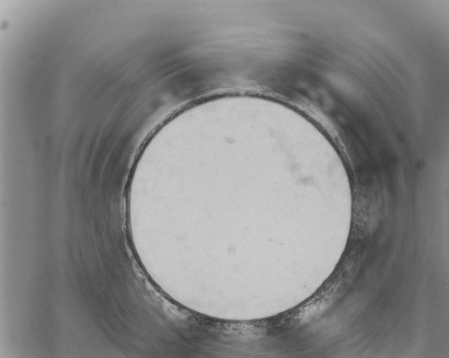 X0000067510807200604101254