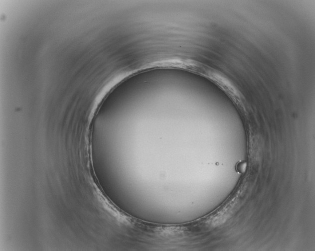 X0000067510808200604101254