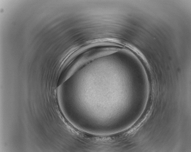 X0000067510809200604101254