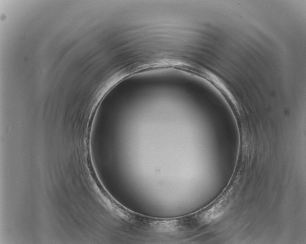 X0000067510810200604101254