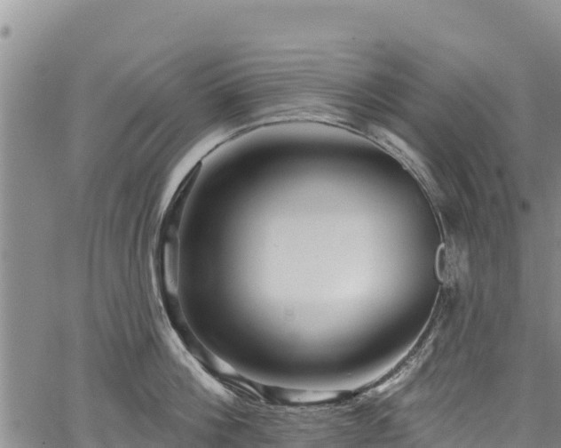 X0000067510812200604101254