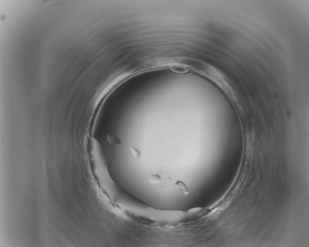 X0000067510814200604101254