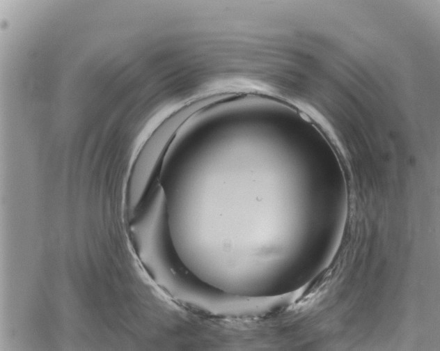 X0000067510815200604101254