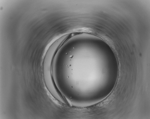 X0000067510816200604101254