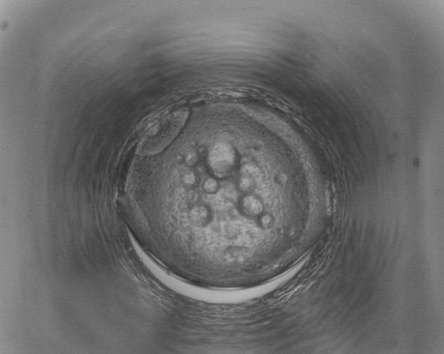 X0000067510819200604101253