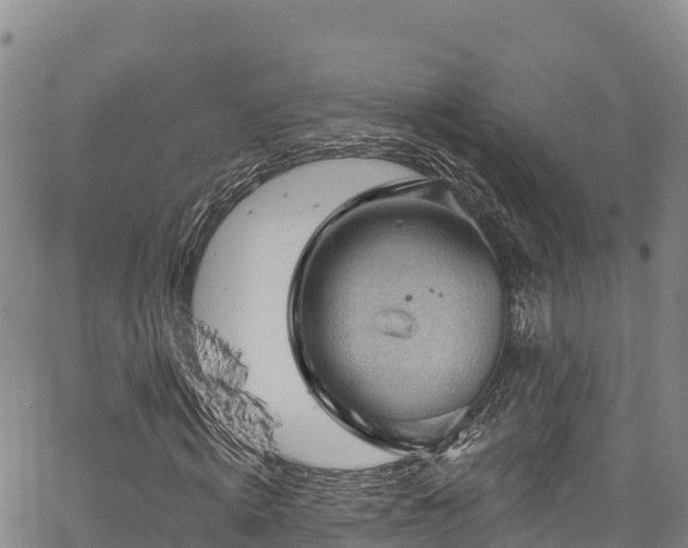 X0000067510820200604101253