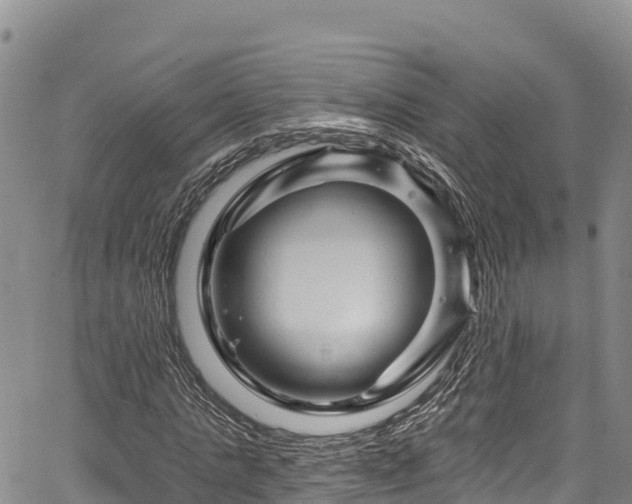 X0000067510821200604101253