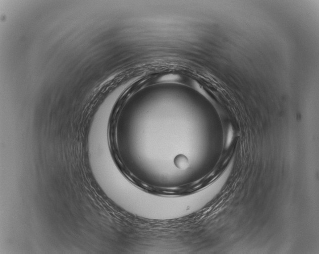 X0000067510822200604101253