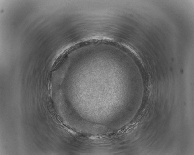 X0000067510823200604101253