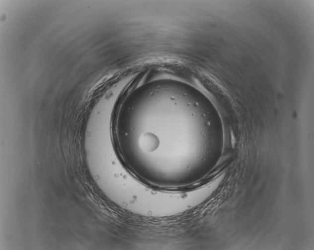 X0000067510824200604101253