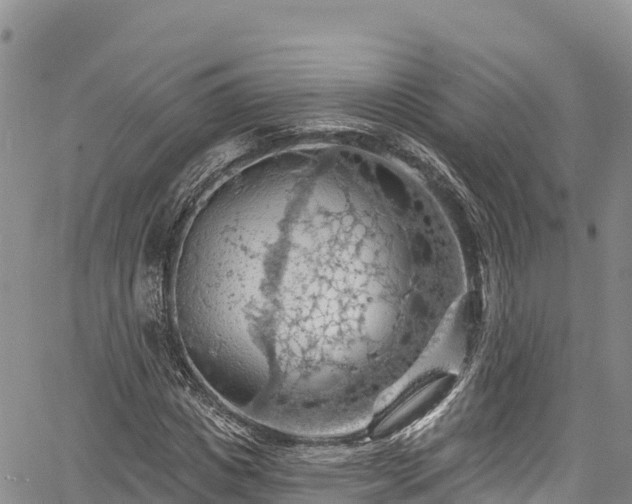 X0000067510825200604101253