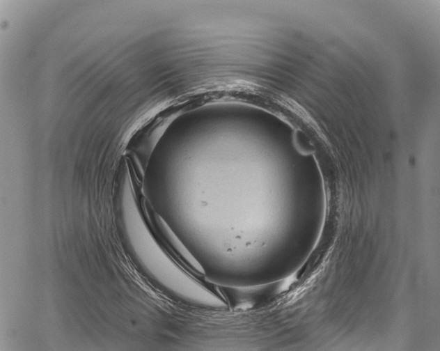 X0000067510826200604101253