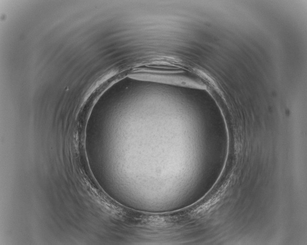 X0000067510827200604101253