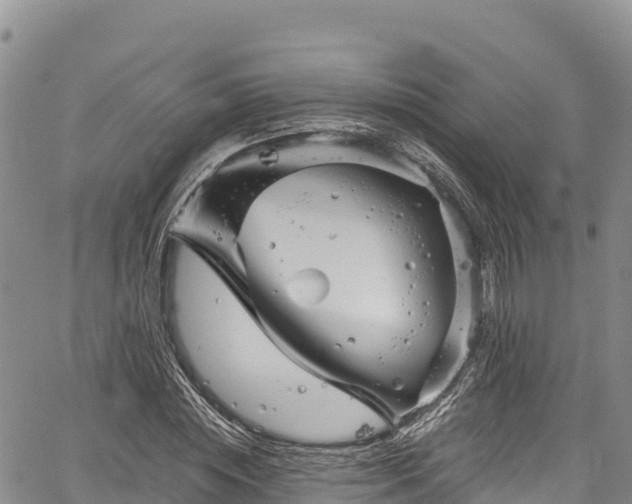 X0000067510828200604101253