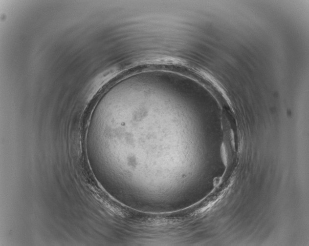 X0000067510829200604101253