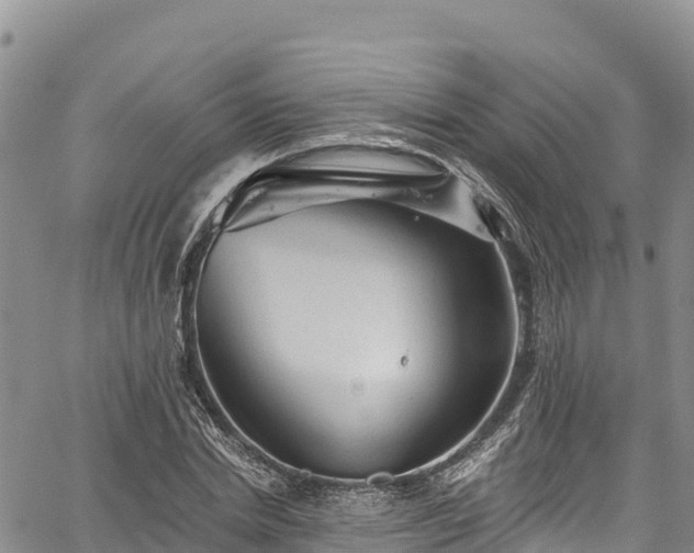 X0000067510830200604101253