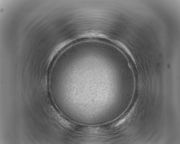 X0000067510831200604101253