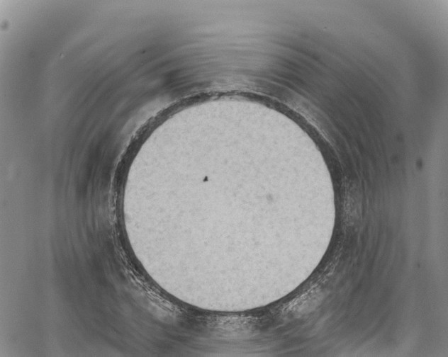 X0000067510832200604101253