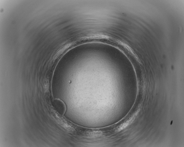 X0000067510833200604101253