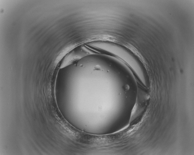 X0000067510834200604101253