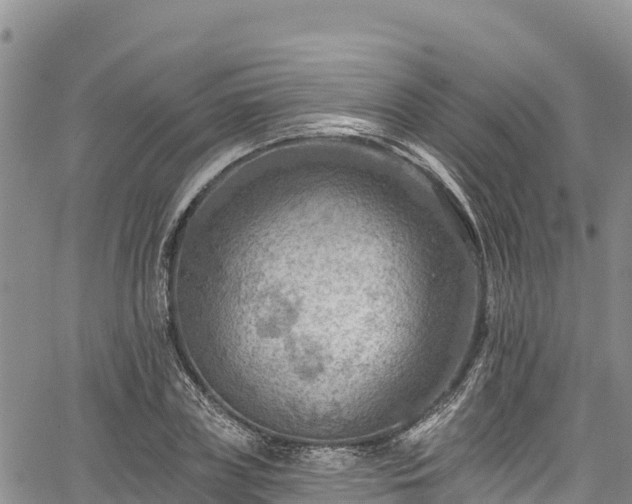 X0000067510835200604101253